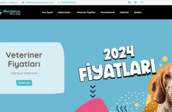 Fiyatlar Nasıl Belirlenir Temel Faktörler